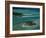 Sandbars with Palm Trees, Bora Bora-Mitch Diamond-Framed Photographic Print