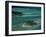 Sandbars with Palm Trees, Bora Bora-Mitch Diamond-Framed Photographic Print