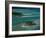 Sandbars with Palm Trees, Bora Bora-Mitch Diamond-Framed Photographic Print