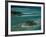 Sandbars with Palm Trees, Bora Bora-Mitch Diamond-Framed Photographic Print