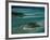 Sandbars with Palm Trees, Bora Bora-Mitch Diamond-Framed Photographic Print