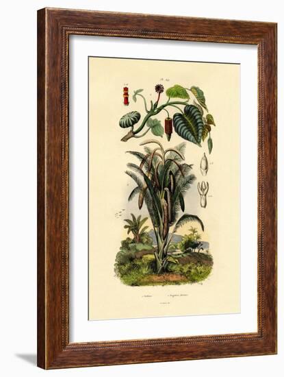 Sandbox Tree, 1833-39-null-Framed Giclee Print