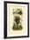 Sandbox Tree, 1833-39-null-Framed Giclee Print