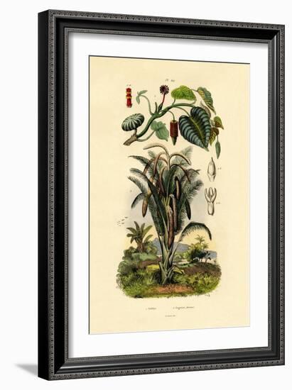 Sandbox Tree, 1833-39-null-Framed Giclee Print