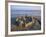 Sandcastle at Beach-David Barnes-Framed Photographic Print