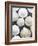 Sanddollars Set on a Stump Along Trail in Oregon.-Justin Bailie-Framed Photographic Print