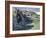 Sandeels Bay, Iona-Francis Campbell Boileau Cadell-Framed Giclee Print