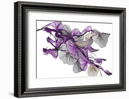 Sander-Kiran Patel-Framed Art Print