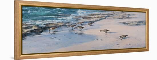 Sanderlings-Michael Jackson-Framed Premier Image Canvas