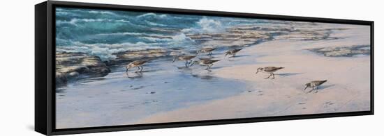 Sanderlings-Michael Jackson-Framed Premier Image Canvas