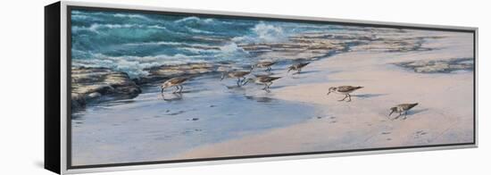 Sanderlings-Michael Jackson-Framed Premier Image Canvas