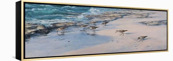 Sanderlings-Michael Jackson-Framed Premier Image Canvas