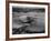 Sanders Roe Princess Flying Boat, August 1952-null-Framed Photographic Print