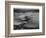 Sanders Roe Princess Flying Boat, August 1952-null-Framed Photographic Print