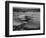 Sanders Roe Princess Flying Boat, August 1952-null-Framed Photographic Print