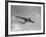 Sanders Roe SR45 Princess Flying Boat at SBAC Farnborough Airshow, September 1956-null-Framed Photographic Print