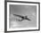 Sanders Roe SR45 Princess Flying Boat at SBAC Farnborough Airshow, September 1956-null-Framed Photographic Print