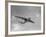 Sanders Roe SR45 Princess Flying Boat at SBAC Farnborough Airshow, September 1956-null-Framed Photographic Print