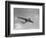 Sanders Roe SR45 Princess Flying Boat at SBAC Farnborough Airshow, September 1956-null-Framed Photographic Print