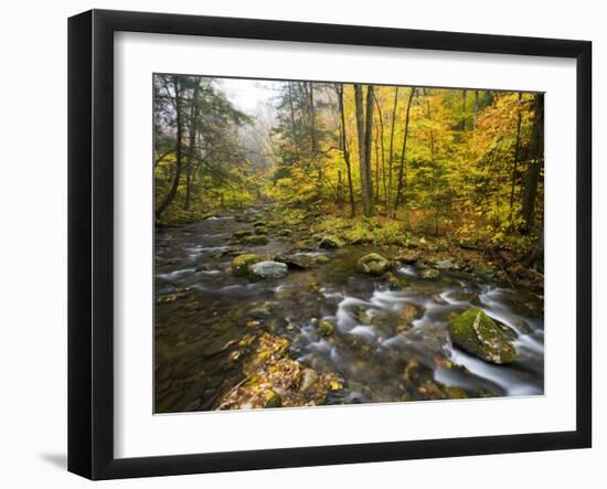 Sanderson Brook, Chester-Blanford State Forest, Chester, Massachusetts, USA-Jerry & Marcy Monkman-Framed Photographic Print