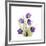 Sandersonia B-Albert Koetsier-Framed Premium Giclee Print