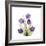 Sandersonia B-Albert Koetsier-Framed Premium Giclee Print