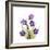 Sandersonia B-Albert Koetsier-Framed Premium Giclee Print