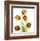 Sandersonia Bunch in Gold-Albert Koetsier-Framed Art Print