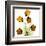 Sandersonia Bunch in Gold-Albert Koetsier-Framed Art Print