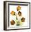 Sandersonia Bunch in Gold-Albert Koetsier-Framed Art Print