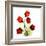 Sandersonia Bunch in Red-Albert Koetsier-Framed Art Print