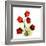 Sandersonia Bunch in Red-Albert Koetsier-Framed Art Print