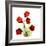 Sandersonia Bunch in Red-Albert Koetsier-Framed Art Print