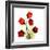 Sandersonia Bunch in Red-Albert Koetsier-Framed Art Print