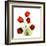 Sandersonia Bunch in Red-Albert Koetsier-Framed Art Print