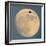 Sandhill crane (Antigone canadensis) flying against moon, Soccoro, New Mexico, USA-Panoramic Images-Framed Photographic Print