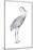 Sandhill Crane (Grus Canadensis), Birds-Encyclopaedia Britannica-Mounted Art Print