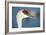 Sandhill Crane, Grus Canadensis Close Up of Head-Richard Wright-Framed Photographic Print