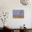 Sandhill Crane in Flight, Bosque Del Apache National Park, NM, USA-Rolf Nussbaumer-Photographic Print displayed on a wall