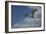 Sandhill Crane In Flight-Galloimages Online-Framed Photographic Print