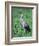 Sandhill Crane, Myakka River State Park, Florida, USA-Charles Sleicher-Framed Photographic Print