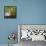 Sandhill Crane on Nest after Sunset, Florida, Wild-Maresa Pryor-Framed Premier Image Canvas displayed on a wall
