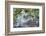 Sandhill Crane on Nest with Baby on Back, Florida-Maresa Pryor-Framed Photographic Print