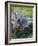 Sandhill Crane on Nest with Colt under Wing, Florida-Maresa Pryor-Framed Photographic Print