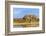 Sandhill Crane Pond, Bosque Del Apache National Wildlife Refuge, New Mexico-Maresa Pryor-Framed Photographic Print