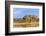 Sandhill Crane Pond, Bosque Del Apache National Wildlife Refuge, New Mexico-Maresa Pryor-Framed Photographic Print