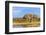 Sandhill Crane Pond, Bosque Del Apache National Wildlife Refuge, New Mexico-Maresa Pryor-Framed Photographic Print