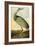 Sandhill Crane-John James Audubon-Framed Art Print