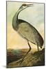 Sandhill Crane-John James Audubon-Mounted Art Print