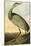 Sandhill Crane-John James Audubon-Mounted Art Print